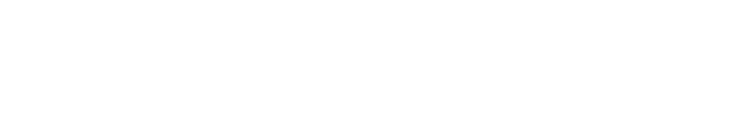 chit-etto Pet