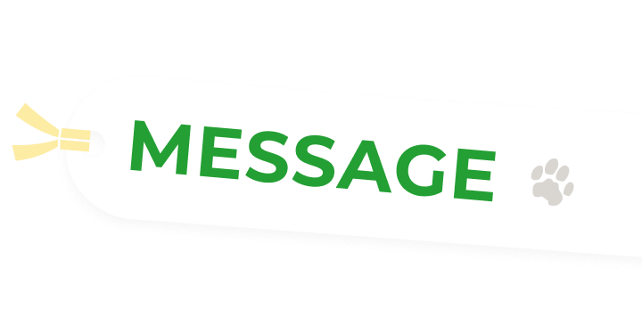 MESSAGE