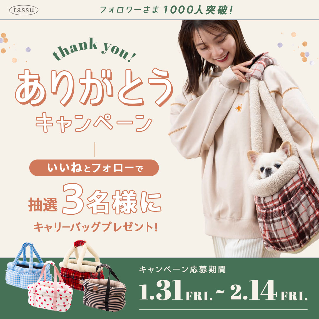 小泉ライフテック株式会社